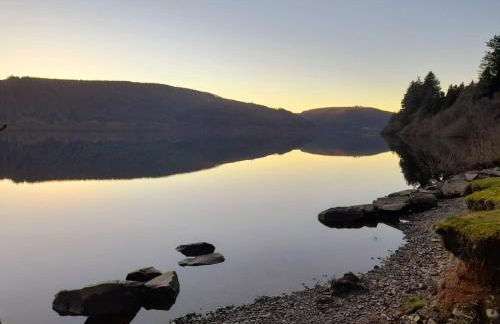 Yr Hen Efail - Quirky Old Smithy cottage near forest walks, cycling & lakes - Foto 15