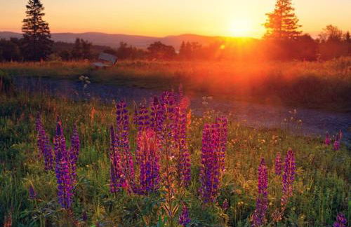 Holiday Home in Willingen-neerdar - Foto 45