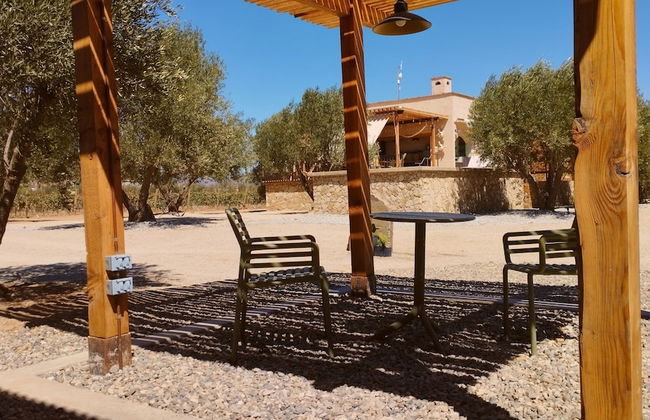 Alma Liebre Viñedos del Valle - Foto 30