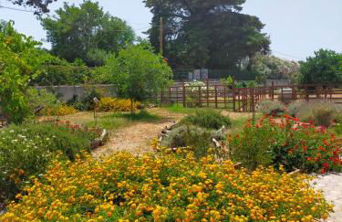 Casa Marina Lu Tuvaraggiu Casa vacanze - Photo 24