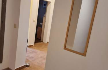 Alex Meißner - Foto 17