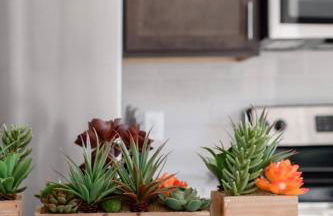 Explore the River Walk from Artsy Designer Retro Chic Home - Foto 27