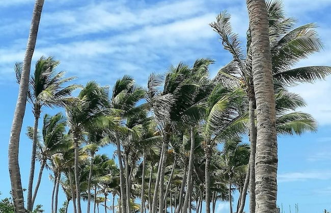 Nakolodge 2 chambres - piscine / jardin privatifs - Foto 58