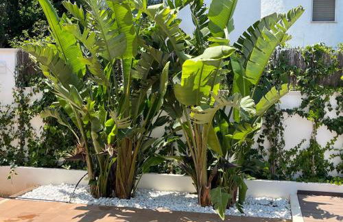 Villa Pura Vida - Foto 44