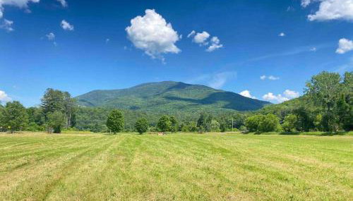 Red Barn Cabin Near Okemo - Foto 3