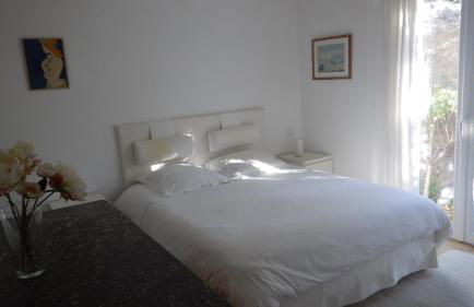 Les mimosas - Foto 13