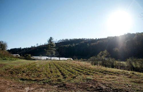 Heated North Carolina Glamping Rental Surrounded by Pisgah National Forest - Foto 38