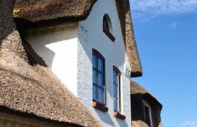 Rickmer's Hoff Reetdachhaus mit Sauna und Kamin - Foto 21