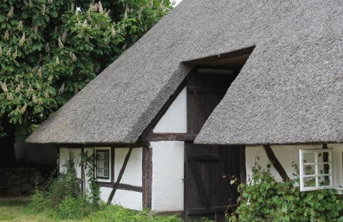 Ferienwohnung in Reddelich for 4 Personen - Foto 33