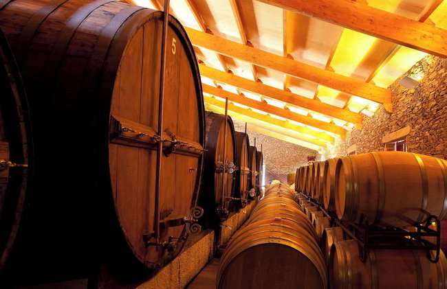 QUINTA DA FAISCA - Agro Turismo - Foto 22