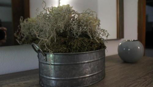 Ferienwohnung Staudacher - Foto 3