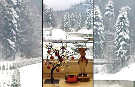 Czarodziejska Góra Kozubnik Daglezja - Foto 24