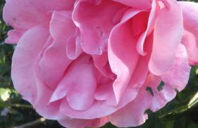 Mas de Karlotte - Photo 12