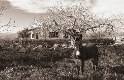 155 Finca Son Rossignol by Mallorca Charme - Foto 8