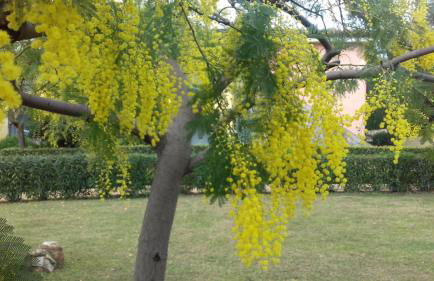 R&Z Getaway - Foto 37