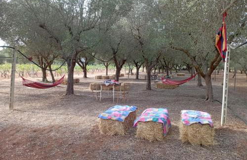 Tenuta L'uliveto - Foto 28