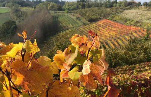 La casa di Noah - Foto 27