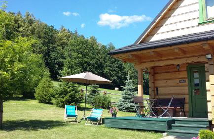 Domek jak z bajki - stylowy domek z bali z kominkiem - Foto 3