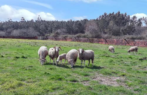 Cozy house in Águeda 45 m² with shared pool - Foto 21