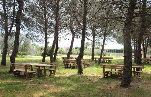 Il Praedio Della Reale - Foto 40