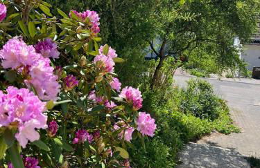 Charmante Doppelhaushälfte mit geräumiger Wohnung und Sonnenterrasse in Wiehl - Foto 20