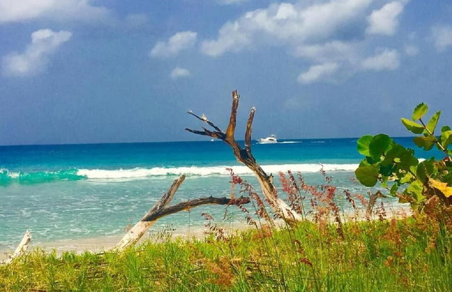 LeMarida Suites - Foto 31