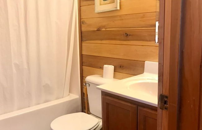 Hales Bar Marina and Resort - Foto 26