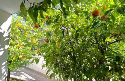 Cozy fairytal garden apartment, Family Friendly, Free parking, 15 Min to Airport - Foto 58