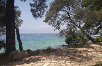 Apartmani Niessner - Foto 46