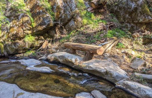 Creekside Cabin 8 Mi to Kings Canyon National Park - Foto 28