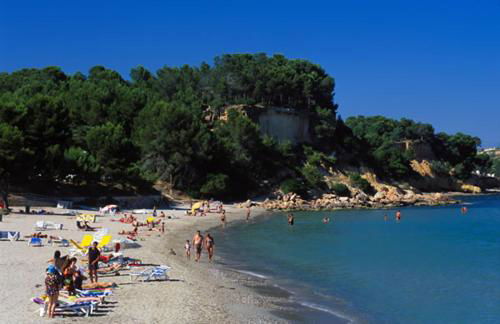 El piset de Paula - Foto 25