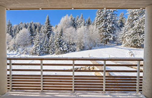 Sur la rive du Lac - Foto 12