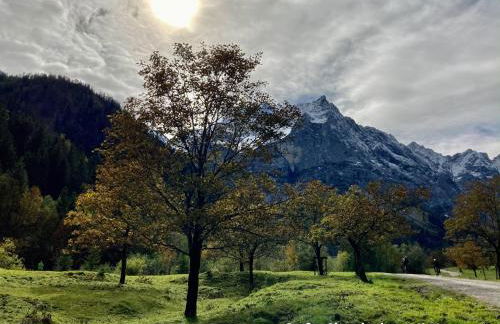 Ferienwohnungen Am Kranzbach FeWo1 - Foto 50