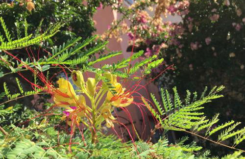 Studio Liège, vue mer au village de Bormes les Mimosas - Foto 18