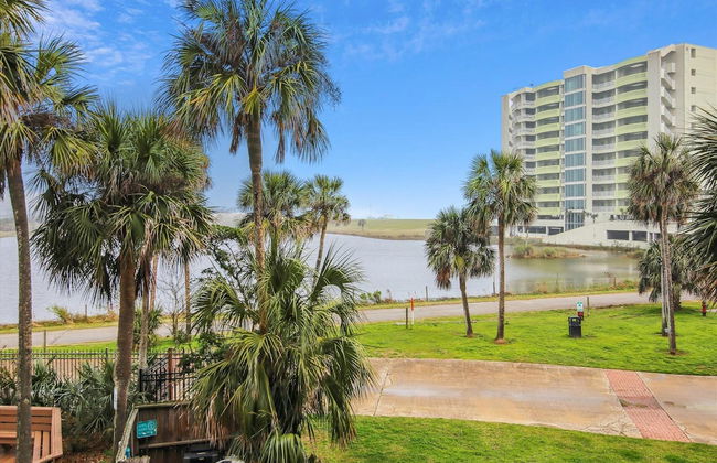 Maravilla 140 - Salt Life - Foto 2