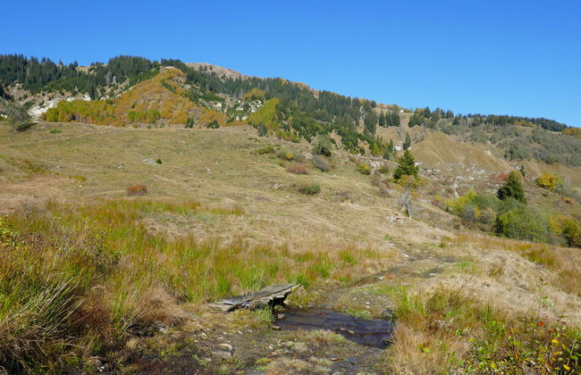 Rustico Andrea - Foto 31