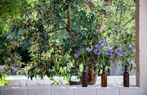 Casa mia in Puglia - Foto 21