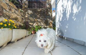 Apartments Jug - Foto 72