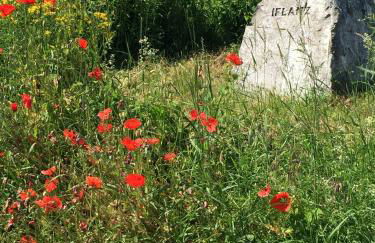 Ferien- Und Winzerhof Simon - Foto 26