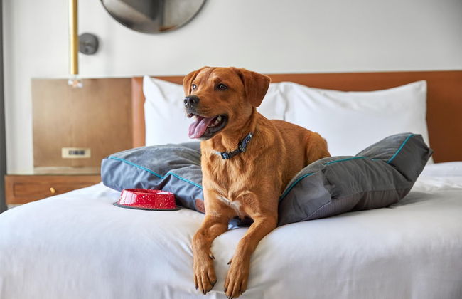 ARC HOTEL Washington DC, Georgetown - Photo 31