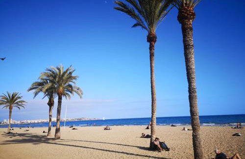 Allegra Suites Costa Blanca - Photo 3