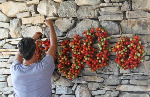 Lama Di Luna Biomasseria - Foto 6