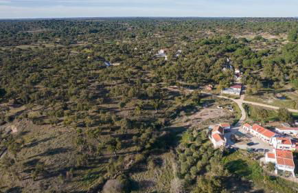 Herdade das Onzenas de Cima - Foto 18