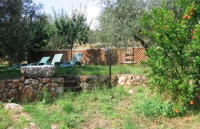 Agriturismo Podere Ficareto - Foto 76