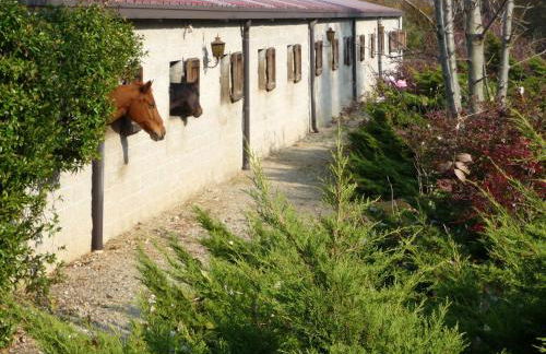 Holiday Home La Bertolina by Interhome - Foto 51