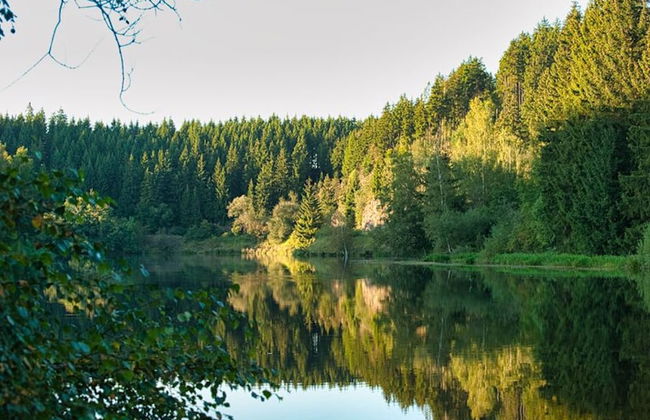 The House to Stay in Hasselfelde - Foto 18