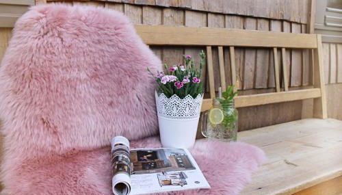 Igluhut Tiny House Bayerischer Wald - Foto 3