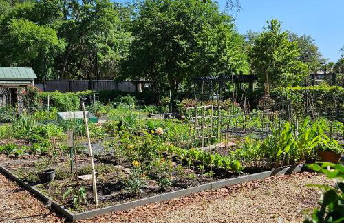 Low Country Cottage in Beautiful Habersham - Photo 37