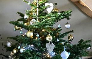 Le Pigeonnier Gite - Foto 28