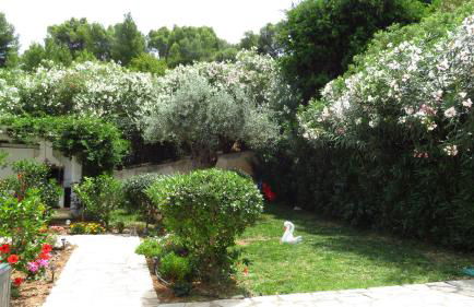 Villa Nova s.r Sea View - Foto 49